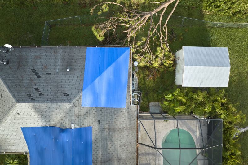 Temporary Roof Protection